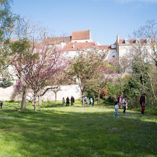 Chasse aux oeufs 2024