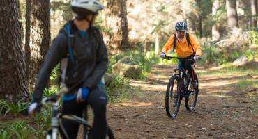 Jeunes à vélo en forêt