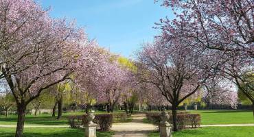 Parc de la mairie au printemps