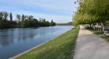 Bords de Seine à Carrières