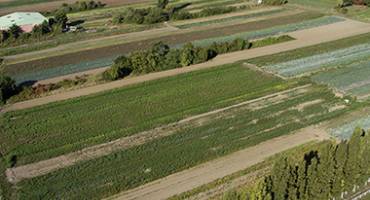 exploitations agricoles