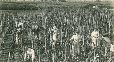 histoire agriculture