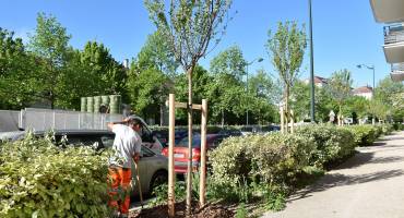 entretien espace verts 