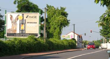 règlement local de publicité