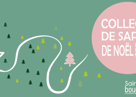 Collecte des sapins