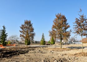 Parc paysager : plantations des 48 arbres